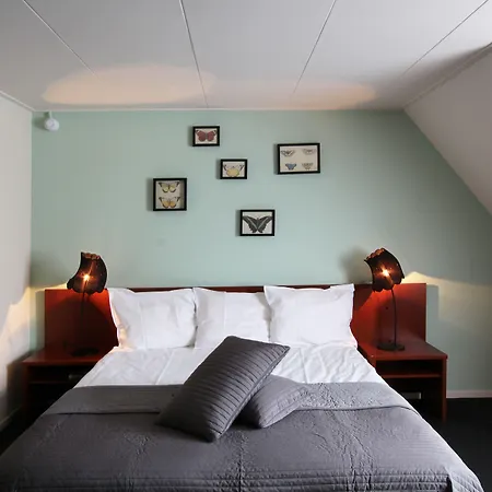 Hotel Grandcafe De Viersprong Schoorl