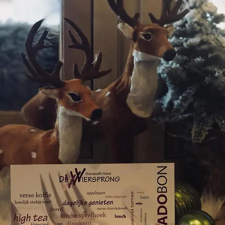 فندق Grandcafe De Viersprong 3*